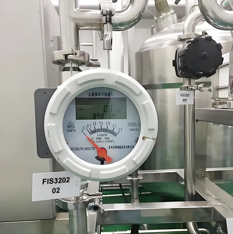 Rotameter yang digunakan dalam pengukuran aliran proses Sanitari Rotameters used in Sanitary process flow measurement