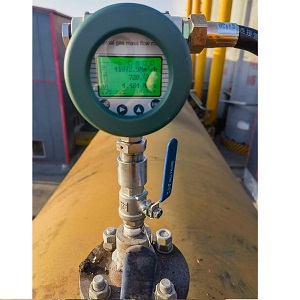 Meter aliran biogas