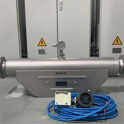 Meter Aliran Jisim Coriolis untuk Pengukuran Aliran Petrokimia